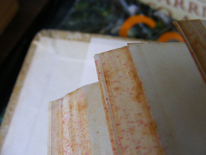 biblioteca 131 copy.jpg